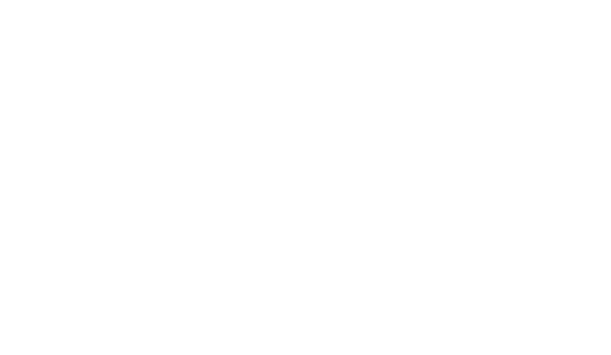 BagX